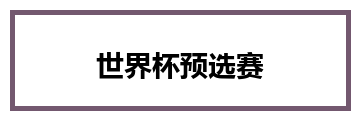 世界杯预选赛